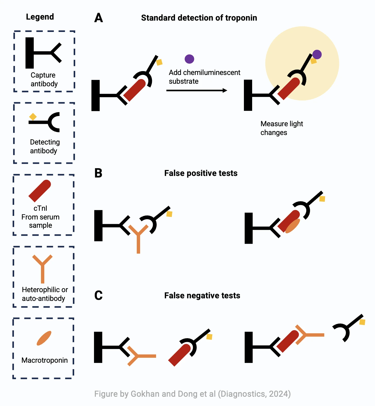 Mechanisms of false-positive and false-negative troponin immunoassay results